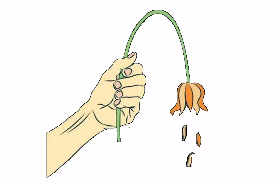 担心自己阳痿早泄不想结婚怎么办？